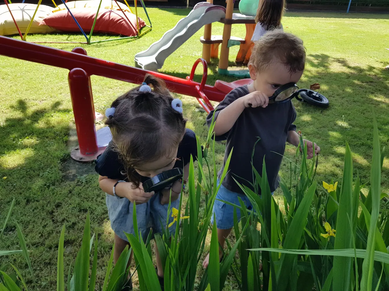 exploring-and-understand-the-world-at-UKC